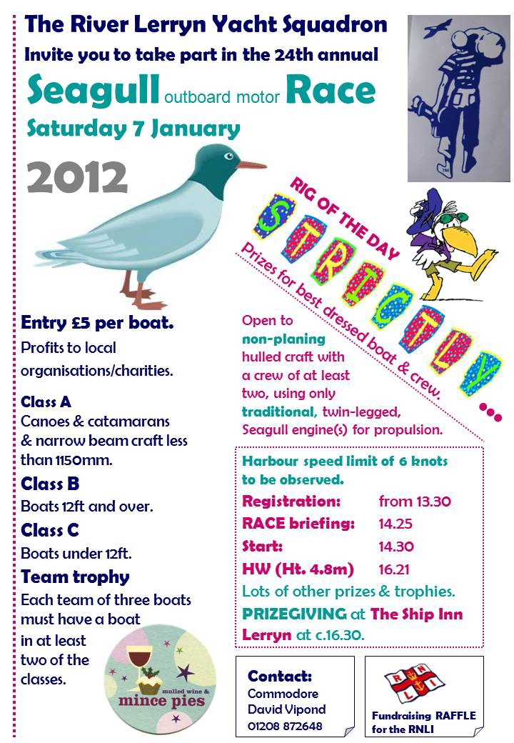 British Seagull_race_Cornwall_2012